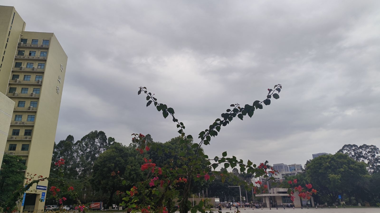 广东省东莞市某某学院北门-AT9000pro